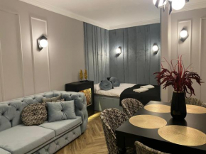Family & Business Sauna Tężnia Apartments No14 Leśny nad Zalewem z Balkonem i Parkingiem oraz możliwością wyżywienia - Exclusive New!